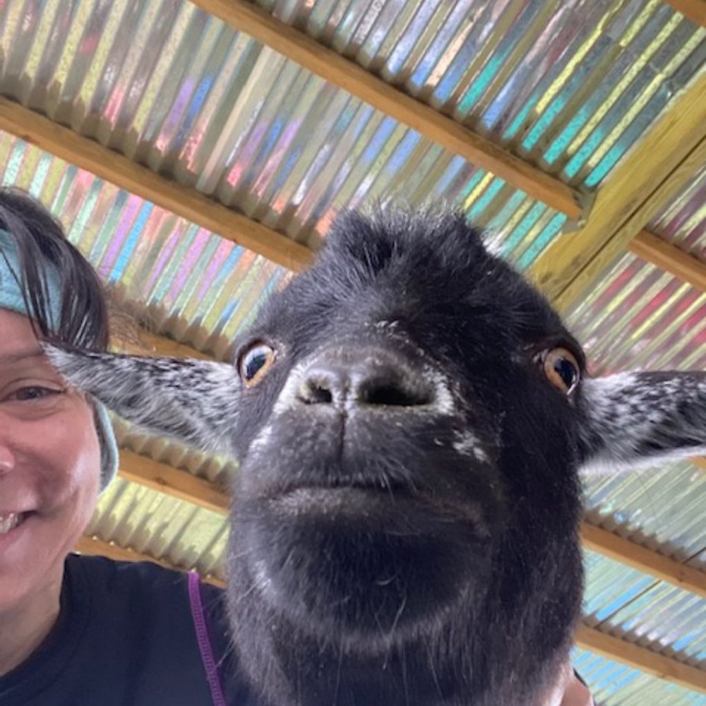 Meet your Posher, Tracy